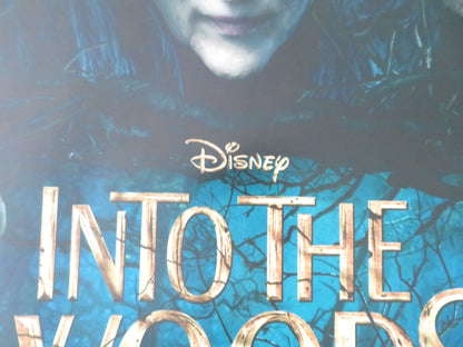 Into the Woods UK Quad Rolled Poster Disney Anna Kendrick Meryl Streep 2014