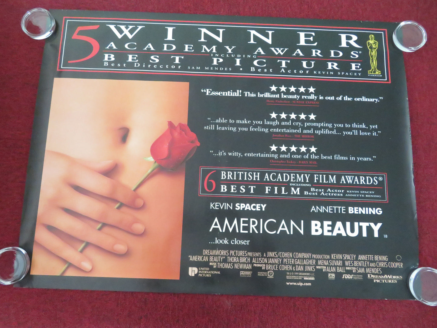 American Beauty - B UK Quad Rolled Poster Kevin Spacey Thora Birch 1999
