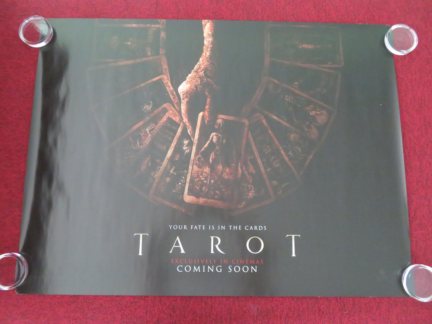 Tarot UK Quad Rolled Poster Harriet Slater Adain Bradley Jacob Batalon 2024