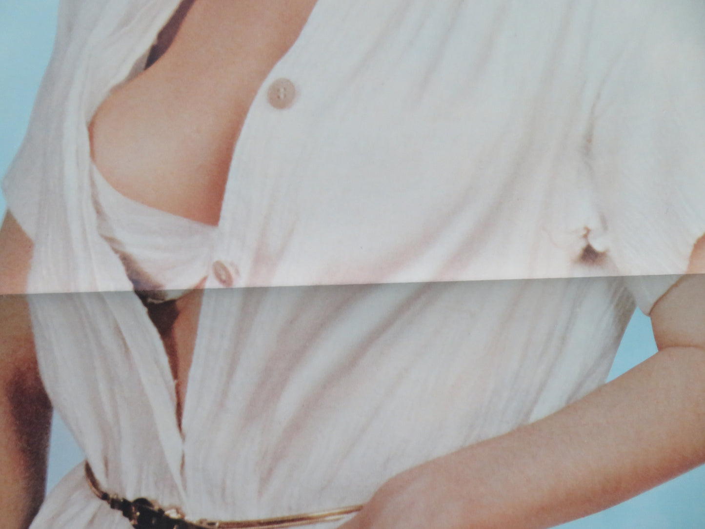 A Scent of Heather US Tri Folded One Sheet Rolled Poster Veronica Hart 1980