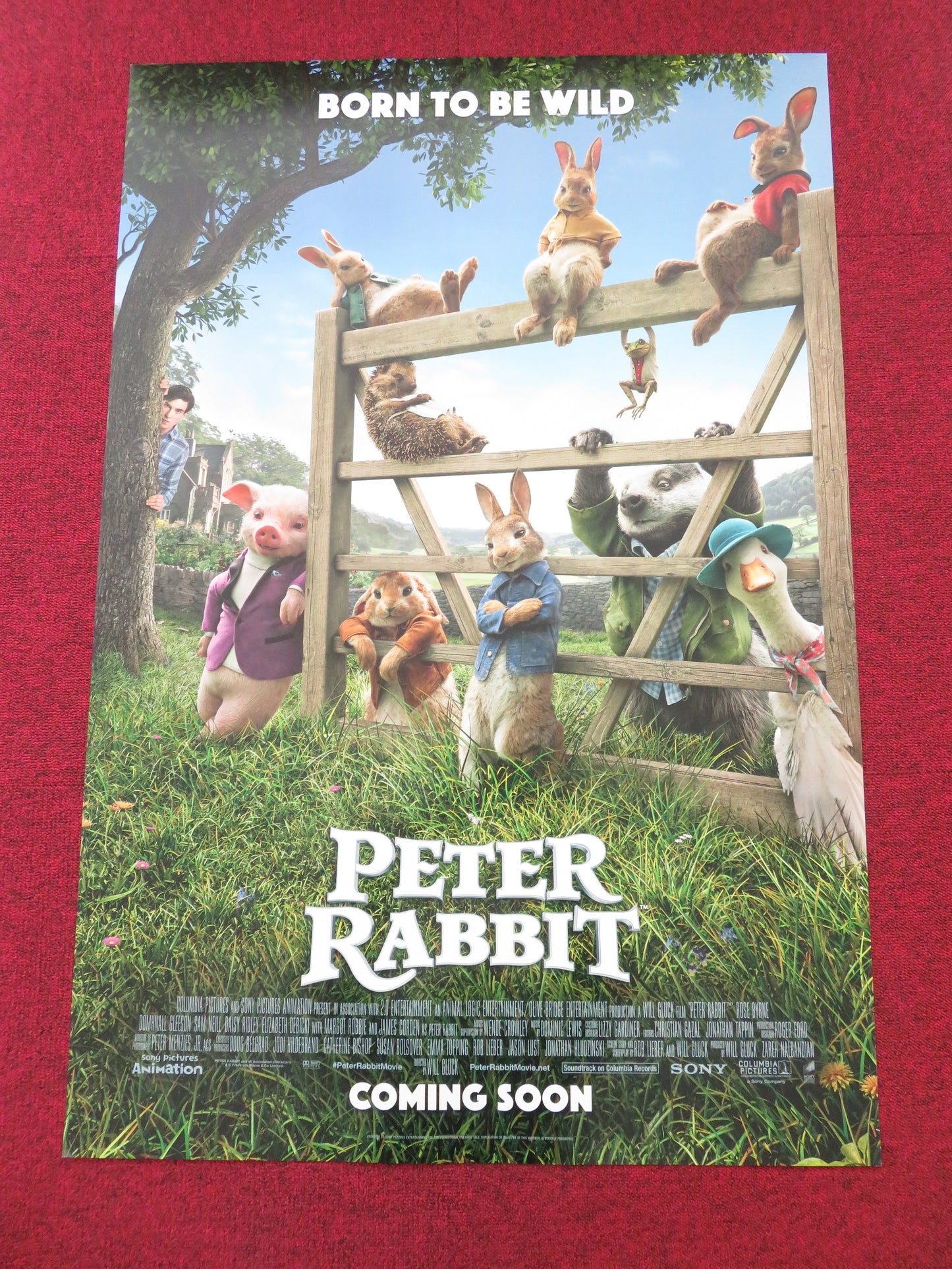 Peter Rabbit US One Sheet Rolled Poster James Corden Domhnall Gleeson 2018