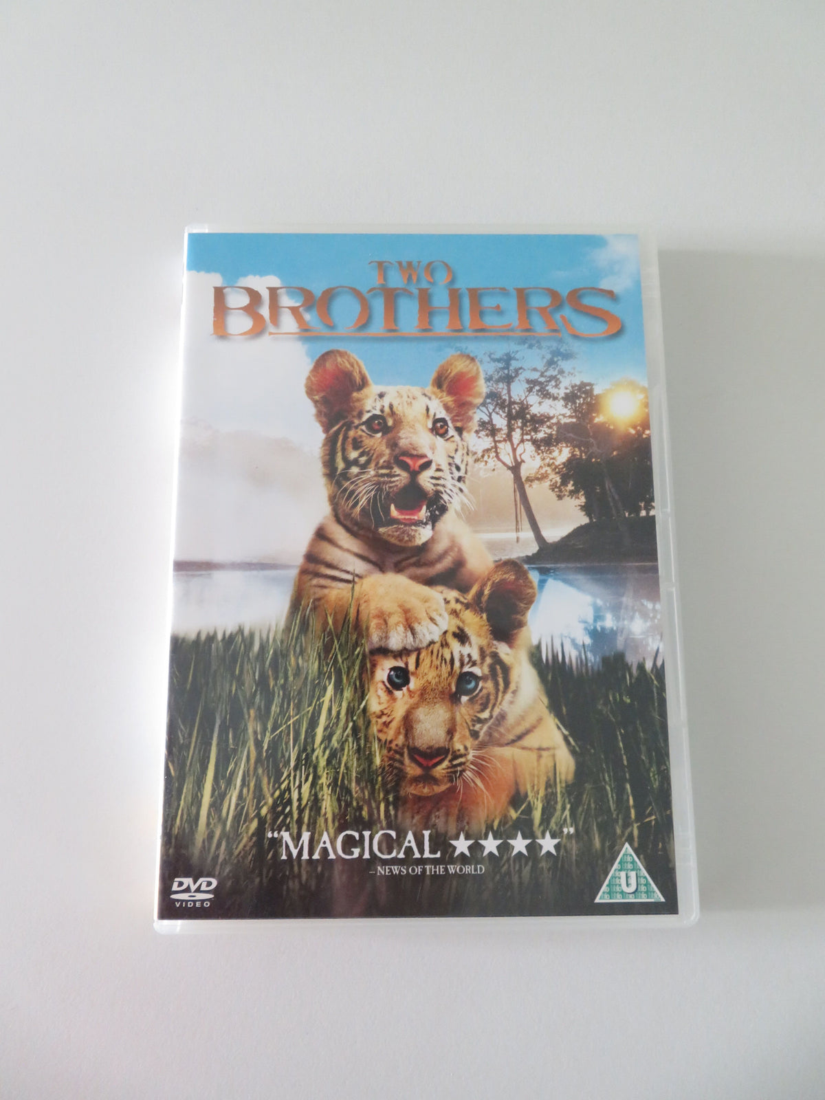 Two Brothers (DVD) Guy Pearce Freddie Highmore 2004 Region 2
