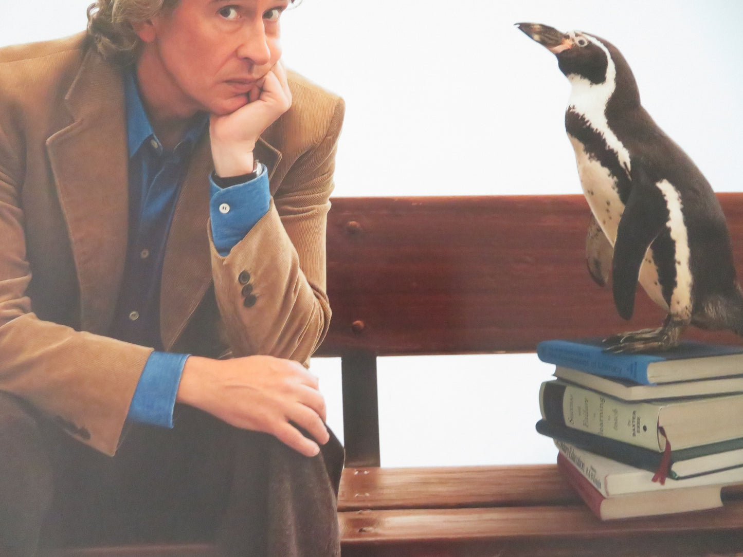 The Penguin Lessons - B UK Quad Rolled Poster Steve Coogan Jonathan Pryce 2024