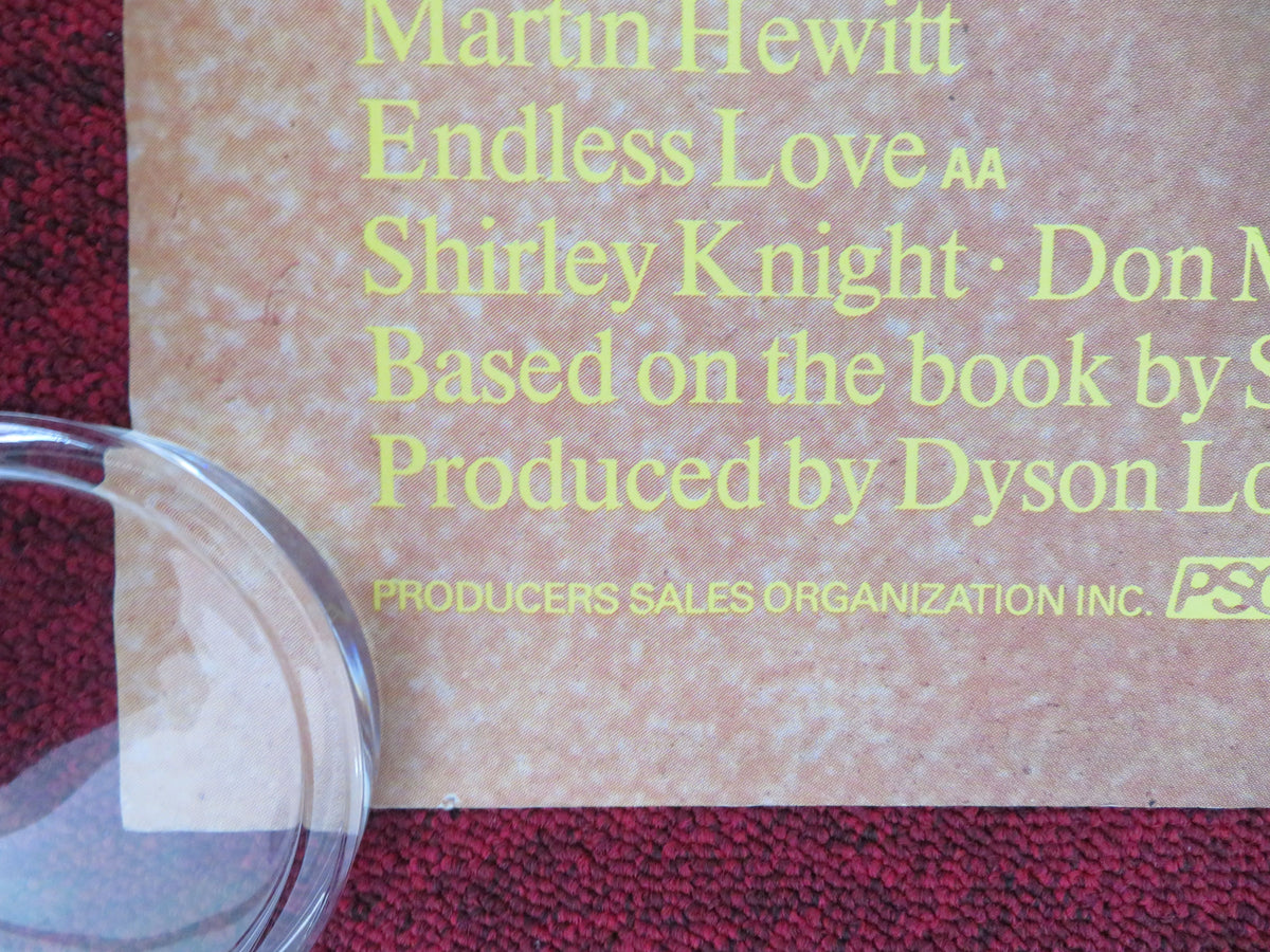 Endless Love UK Quad Rolled Poster Brooke Shields Martin Hewitt 1981