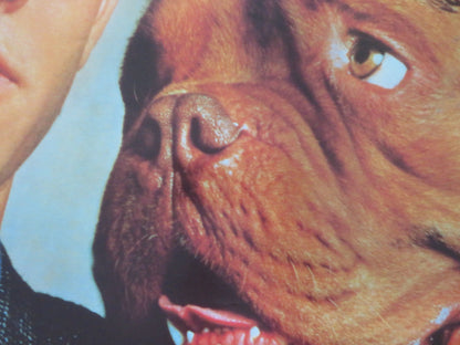 Turner & Hooch VHS Video Poster Rolled Tom Hanks Mare Winningham 1989