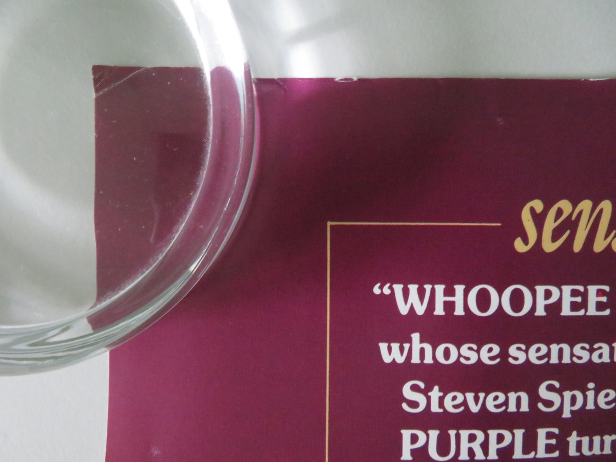 The Color Purple VHS Video Poster Rolled Danny Glover Whoopi Goldberg 1985