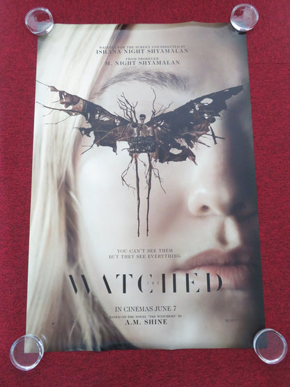 The Watchers US One Sheet Rolled Poster Dakota Fanning Georgina Campbell 2024