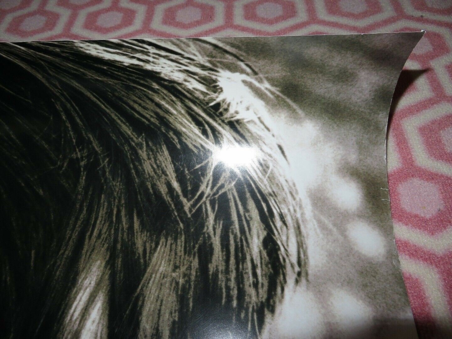 ANGELA'S ASHES US ONE SHEET ROLLED POSTER FRANK MCCOURT EMILY WATSON - Rendezvous Cinema