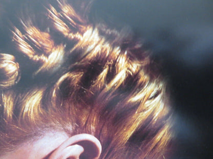 ANGELS AND INSECTS US ONE SHEET ROLLED POSTER MARK RYLANCE 1995 - Rendezvous Cinema