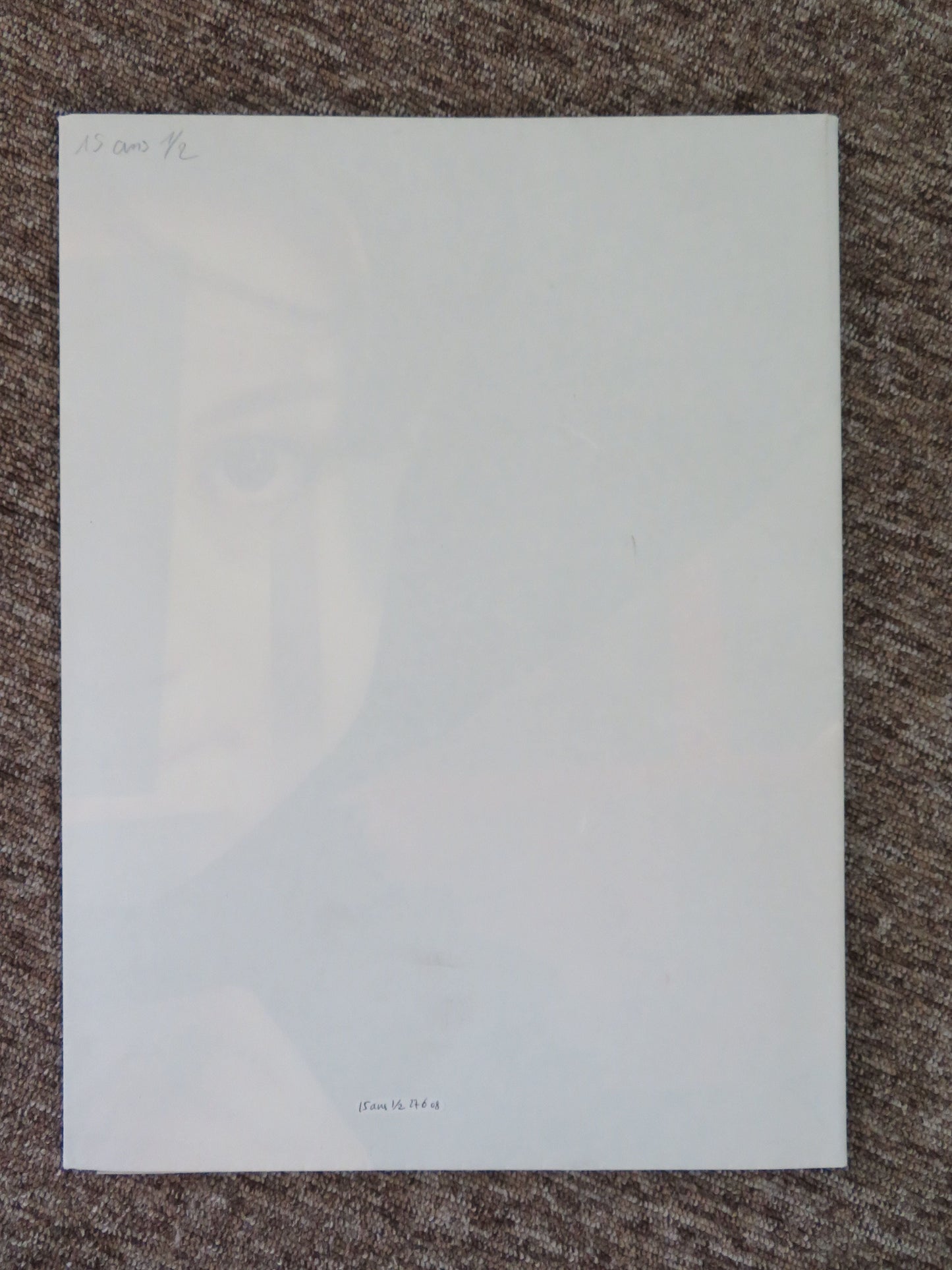 15 Ans et Demi French Grande Poster Daniel Auteuil Juliette Lamboley 2008 Movie posters