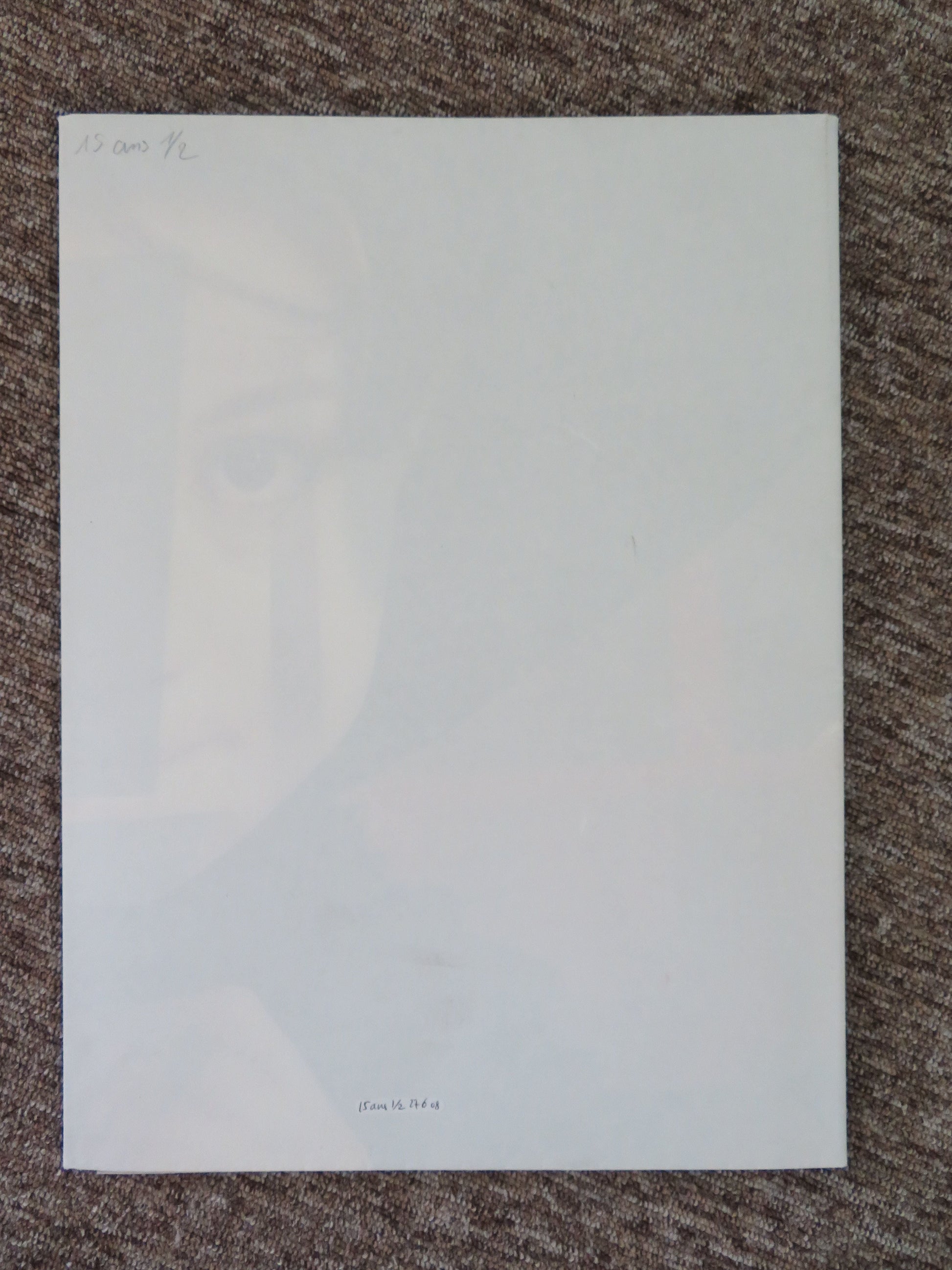 15 Ans et Demi French Grande Poster Daniel Auteuil Juliette Lamboley 2008 Movie posters