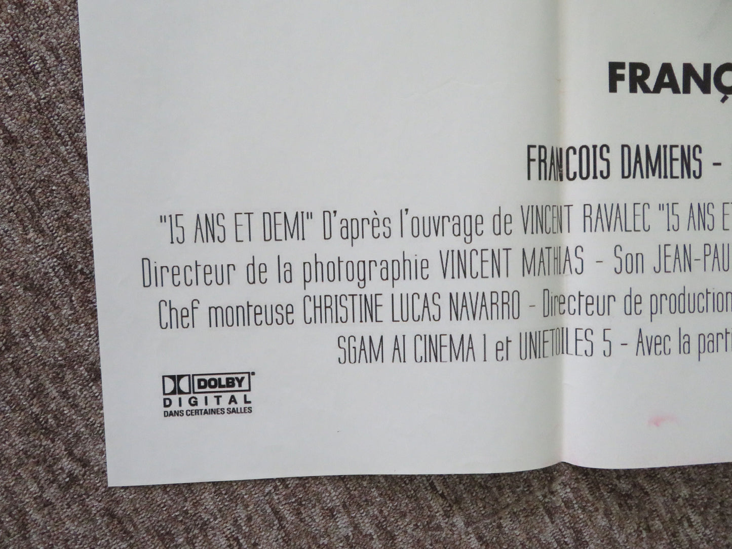 15 Ans et Demi French Grande Poster Daniel Auteuil Juliette Lamboley 2008 Movie posters