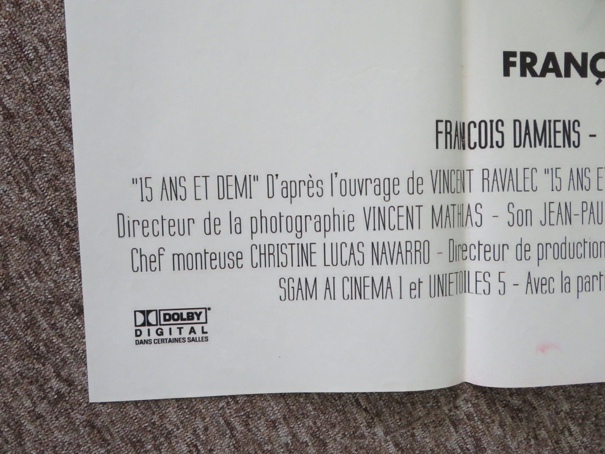 15 Ans et Demi French Grande Poster Daniel Auteuil Juliette Lamboley 2008 Movie posters