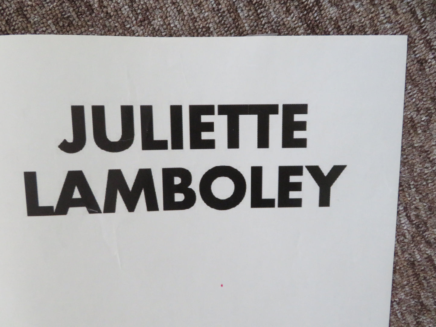 15 Ans et Demi French Grande Poster Daniel Auteuil Juliette Lamboley 2008 Movie posters