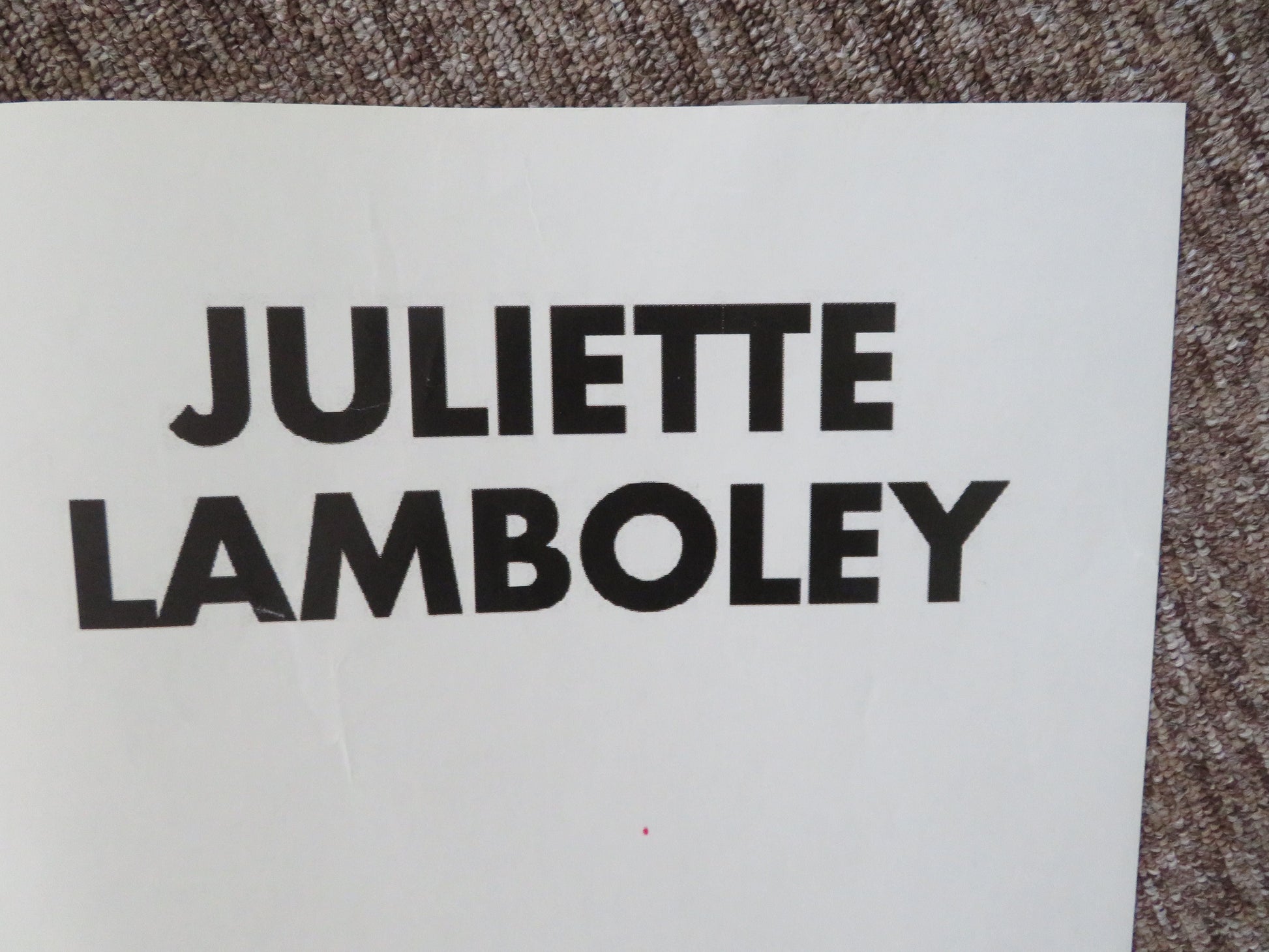 15 Ans et Demi French Grande Poster Daniel Auteuil Juliette Lamboley 2008 Movie posters