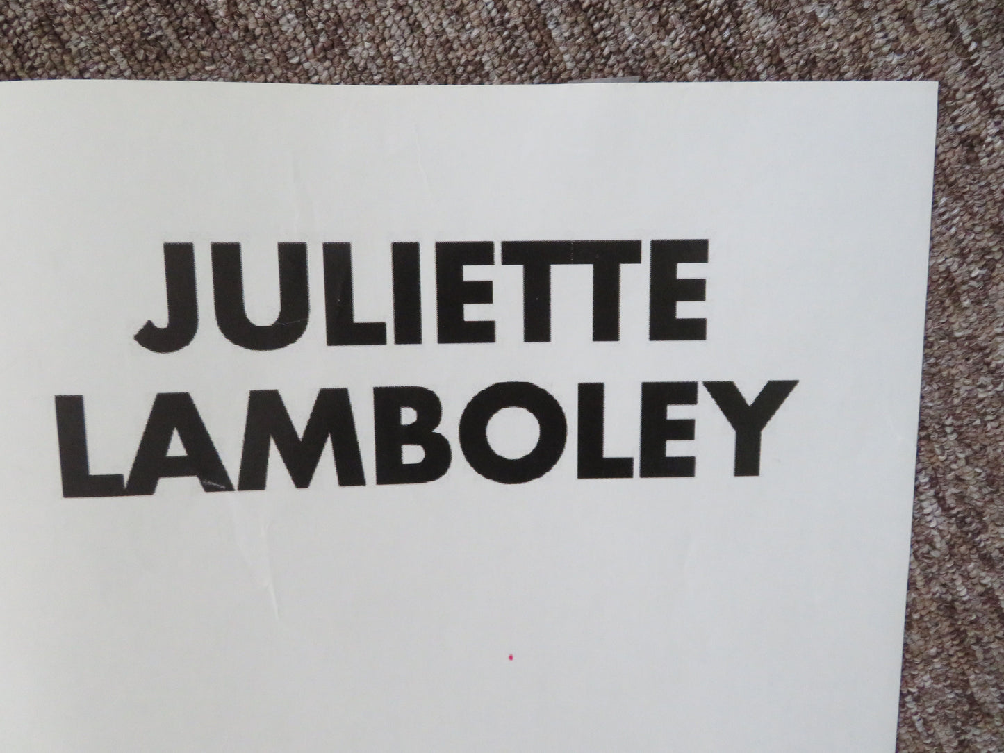 15 Ans et Demi French Grande Poster Daniel Auteuil Juliette Lamboley 2008