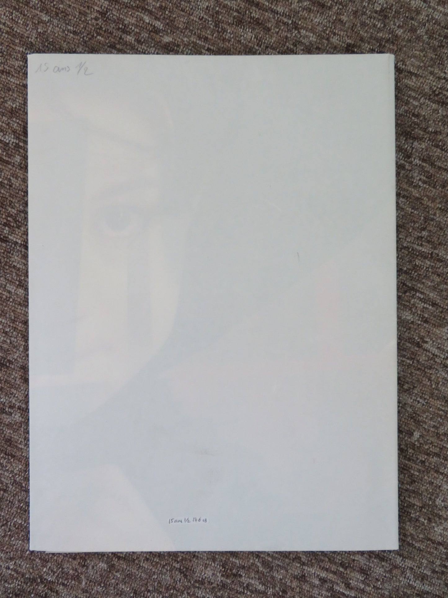 15 Ans et Demi French Grande Poster Daniel Auteuil Juliette Lamboley 2008