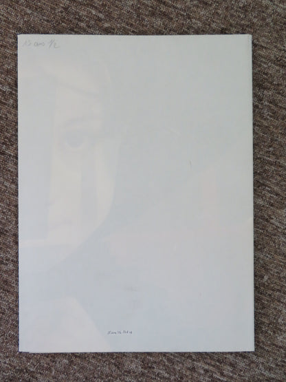 15 Ans et Demi French Grande Poster Daniel Auteuil Juliette Lamboley 2008