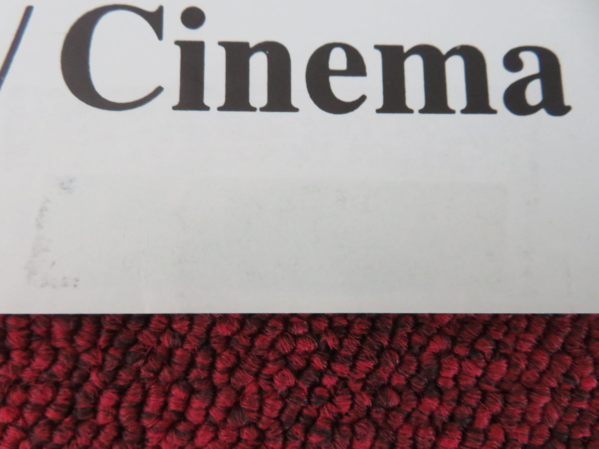 National Cinema Day UK Quad Rolled Poster Blue Peter Melissa Holdsworth 1996