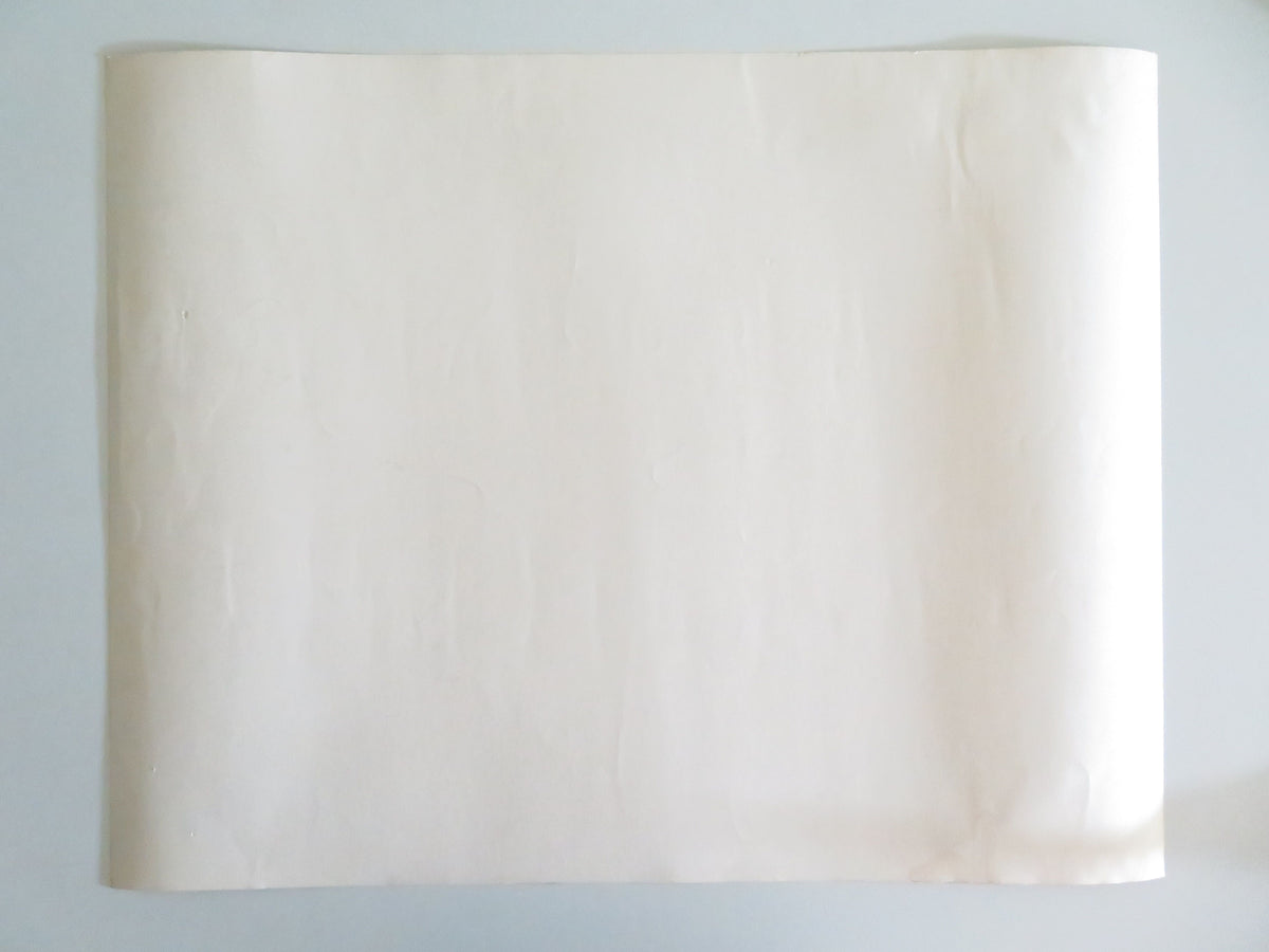Moonrunners US Half Sheet (22"x 28") Poster James Mitchum Kiel Martin 1974