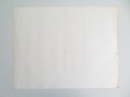 Dusty and Sweets McGee US Half Sheet (22"x 28") Poster Clifton Tip Fredell 1971