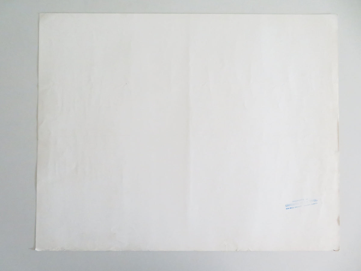 The Black Hole US Half Sheet (22"x 28") Poster Disney Maximilian Schell 1979
