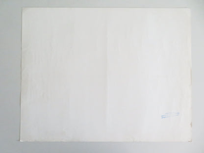 The Black Hole US Half Sheet (22"x 28") Poster Disney Maximilian Schell 1979