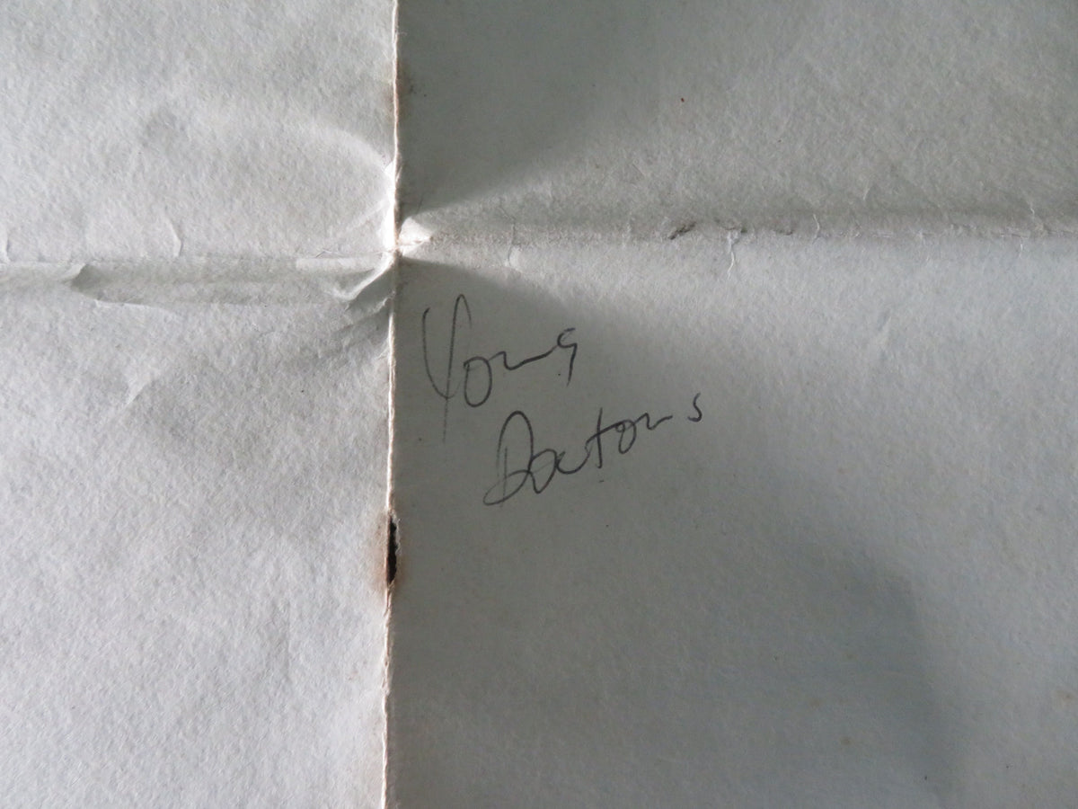 Young Doctors in Love UK Quad Poster Folded Michael McKean Sean Young 1982