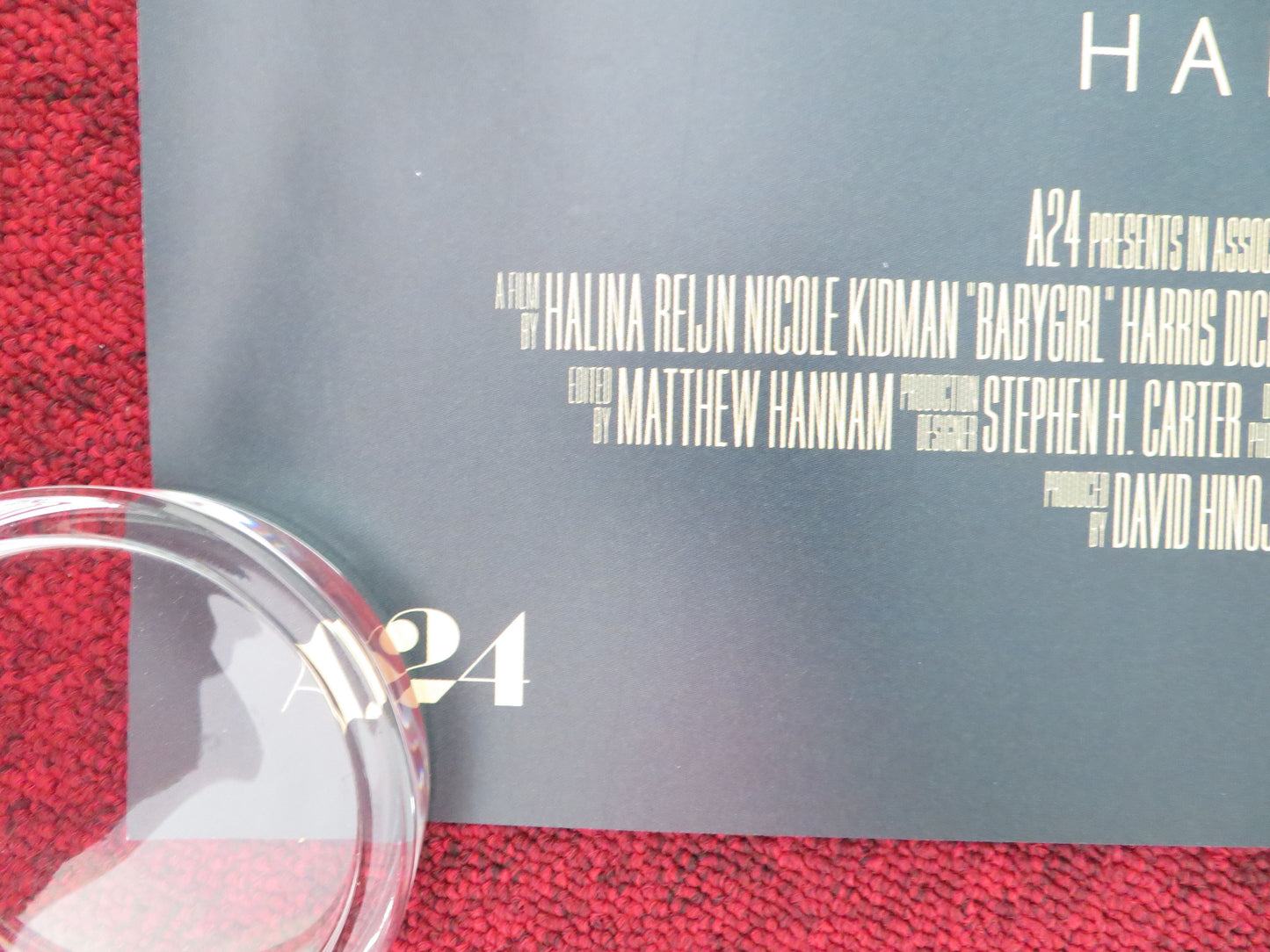 Babygirl - B UK Quad Rolled Poster Nicole Kidman Harris Dickinson Banderas 2024