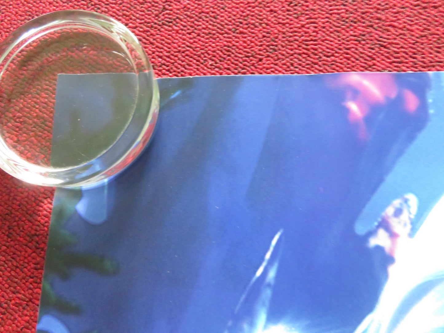 200% WOLF UK QUAD ROLLED POSTER JENNIFER SAUNDERS ILAI SWINDELLS 2024 Rendezvous Cinema Movie posters