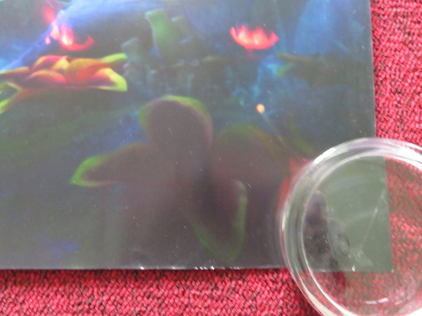 200% WOLF UK QUAD ROLLED POSTER JENNIFER SAUNDERS ILAI SWINDELLS 2024 Rendezvous Cinema Movie posters