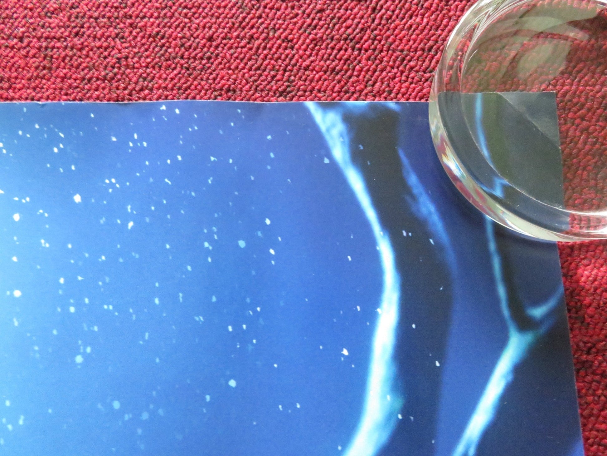 200% WOLF UK QUAD ROLLED POSTER JENNIFER SAUNDERS ILAI SWINDELLS 2024 Rendezvous Cinema Movie posters