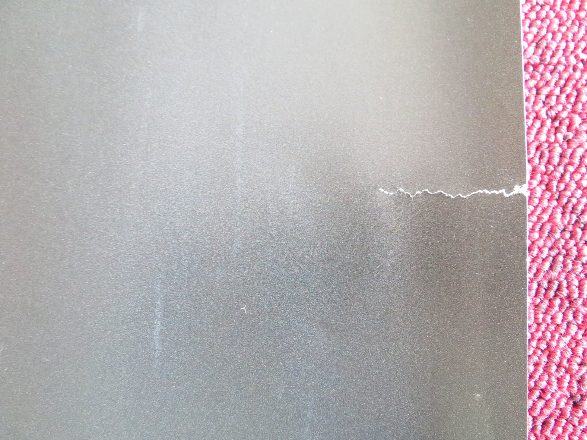 2073 UK QUAD ROLLED POSTER SAMANTHA MORTON NAOMI ACKIE 2024 Rendezvous Cinema Movie posters