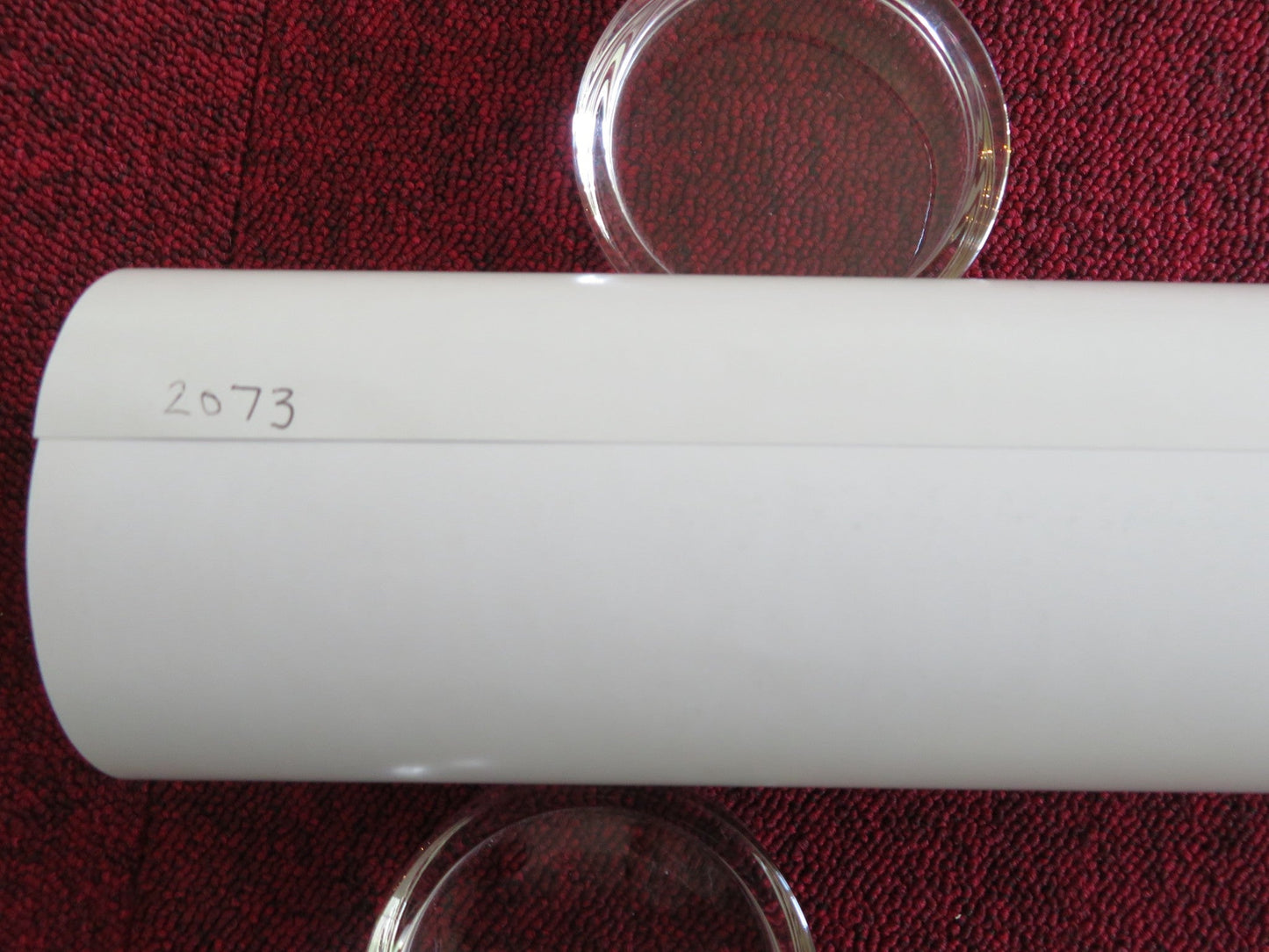 2073 UK QUAD ROLLED POSTER SAMANTHA MORTON NAOMI ACKIE 2024 Rendezvous Cinema Movie posters