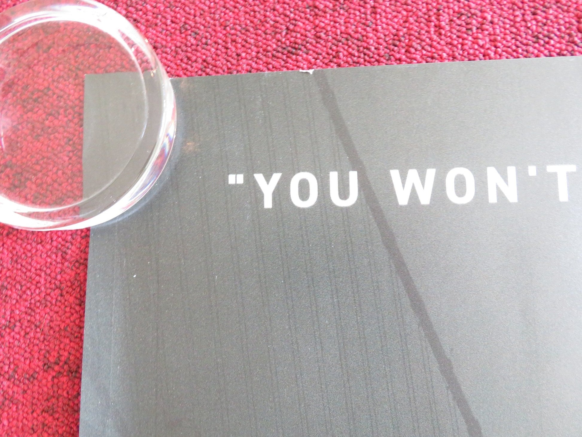 2073 UK QUAD ROLLED POSTER SAMANTHA MORTON NAOMI ACKIE 2024 Rendezvous Cinema Movie posters