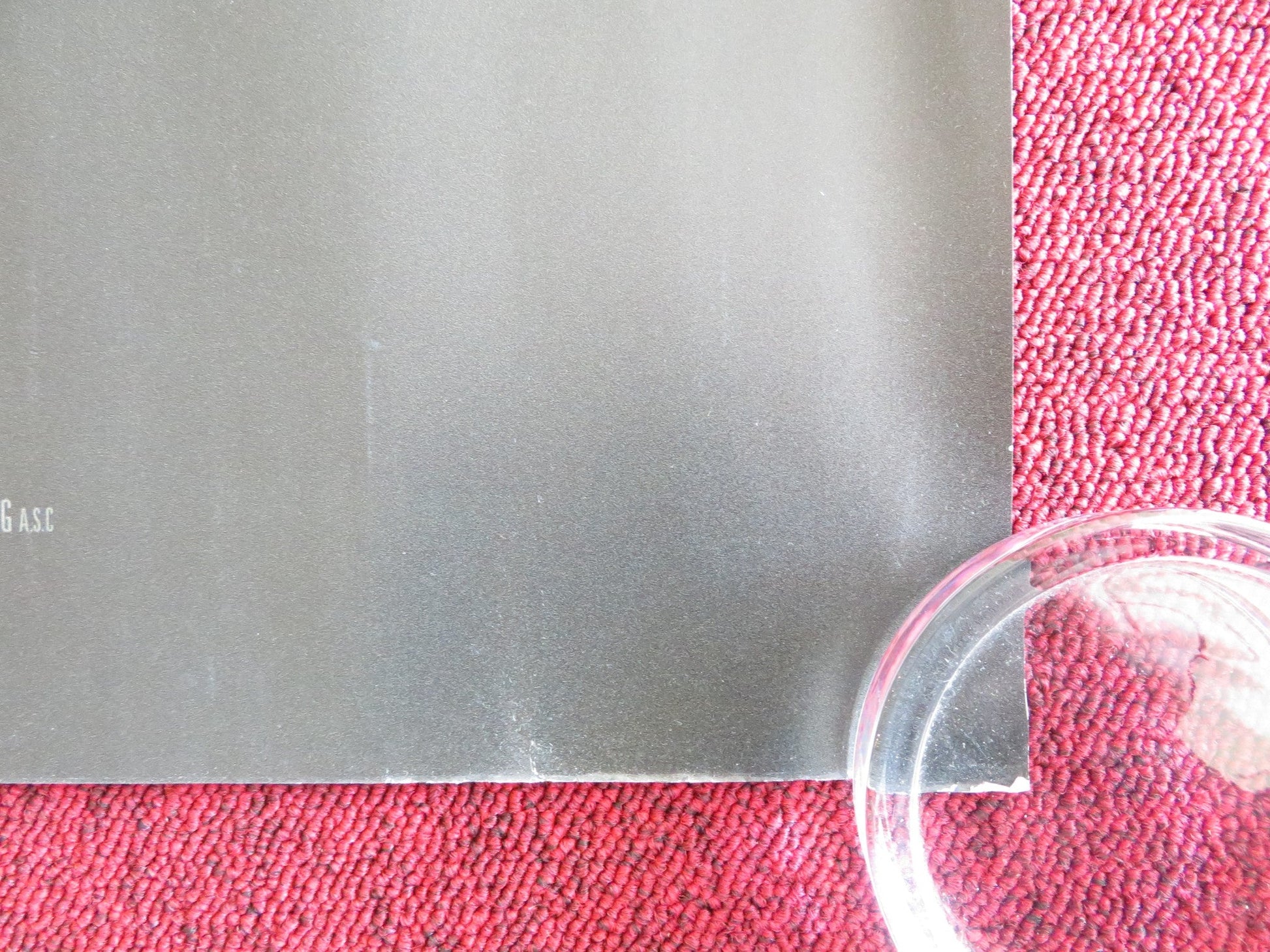 2073 UK QUAD ROLLED POSTER SAMANTHA MORTON NAOMI ACKIE 2024 Rendezvous Cinema Movie posters