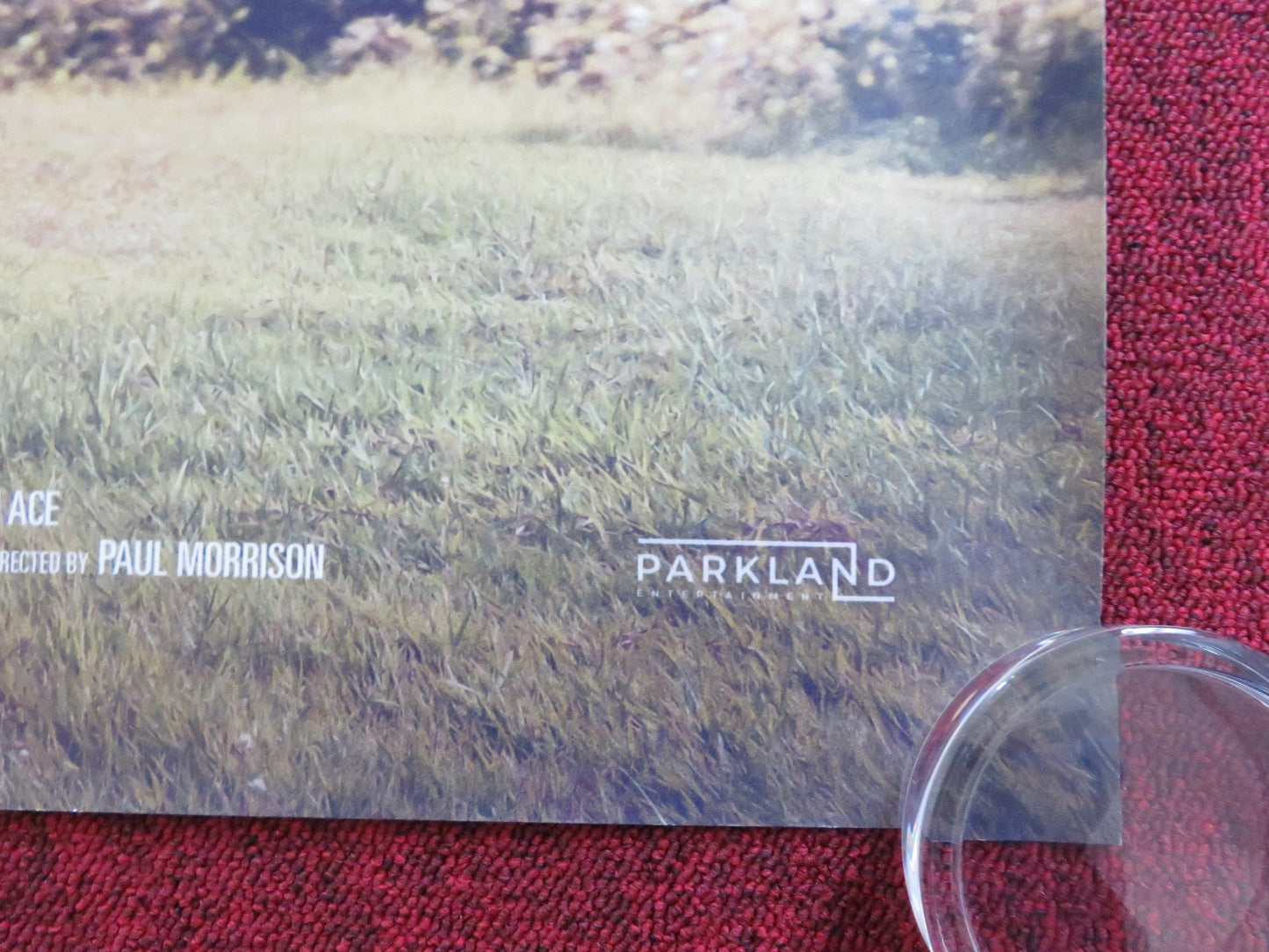 23 WALKS UK QUAD ROLLED POSTER DAVE JOHNS ALISON STEADMAN 2020 Rendezvous Cinema Movie posters