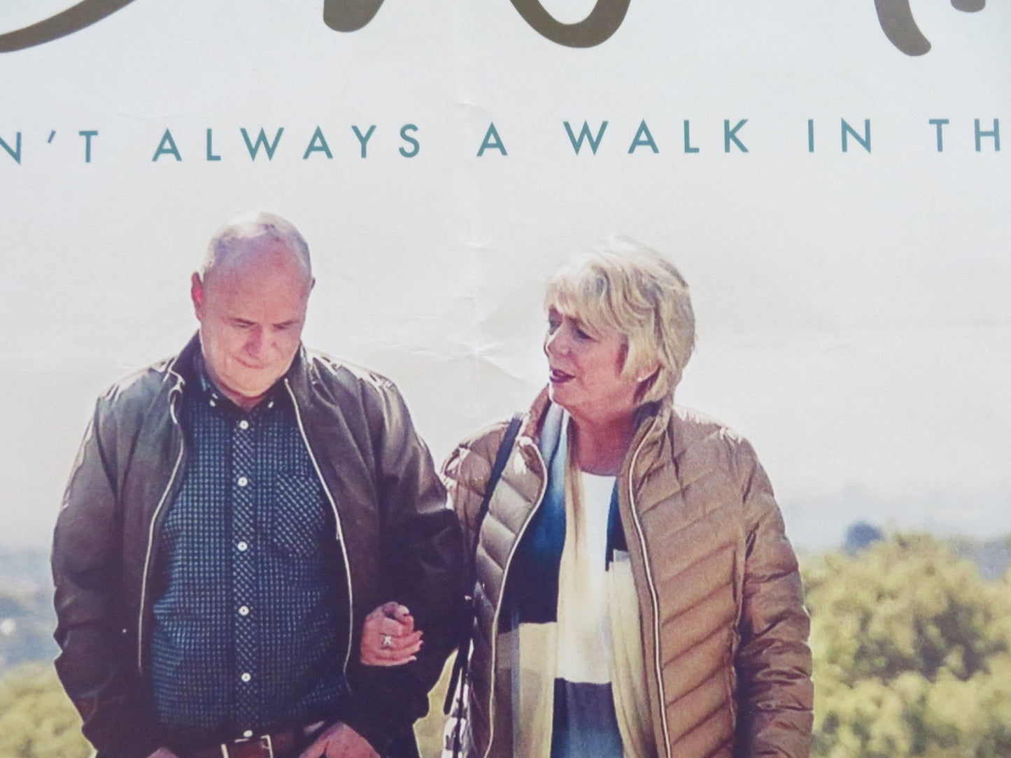 23 WALKS UK QUAD ROLLED POSTER DAVE JOHNS ALISON STEADMAN 2020 Rendezvous Cinema Movie posters