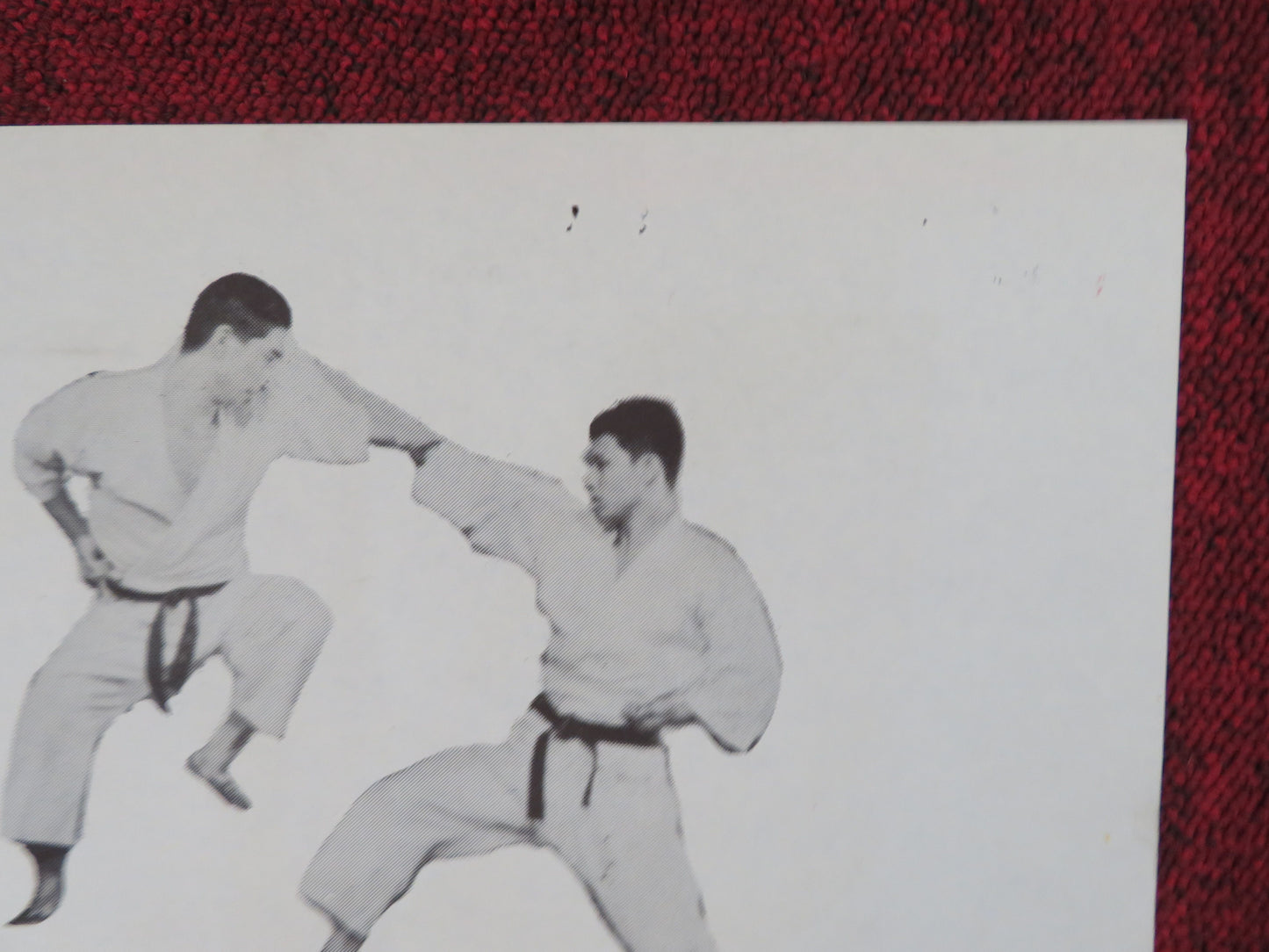 Karate, the Hand of Death Folded US One Sheet Poster Joel Holt Frank Blaine 1961
