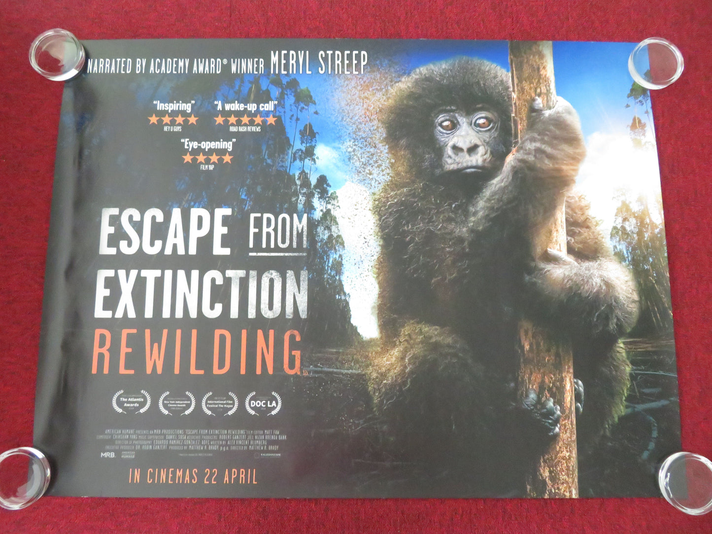 Escape from Extinction Rewilding UK Quad Rolled Poster Meryl Streep 2024