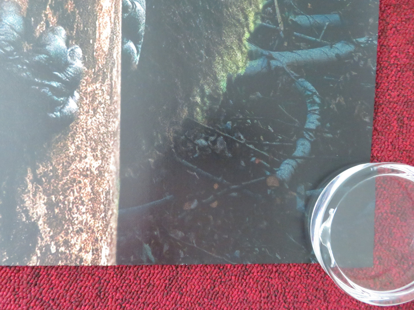 Escape from Extinction Rewilding UK Quad Rolled Poster Meryl Streep 2024
