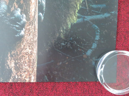 Escape from Extinction Rewilding UK Quad Rolled Poster Meryl Streep 2024