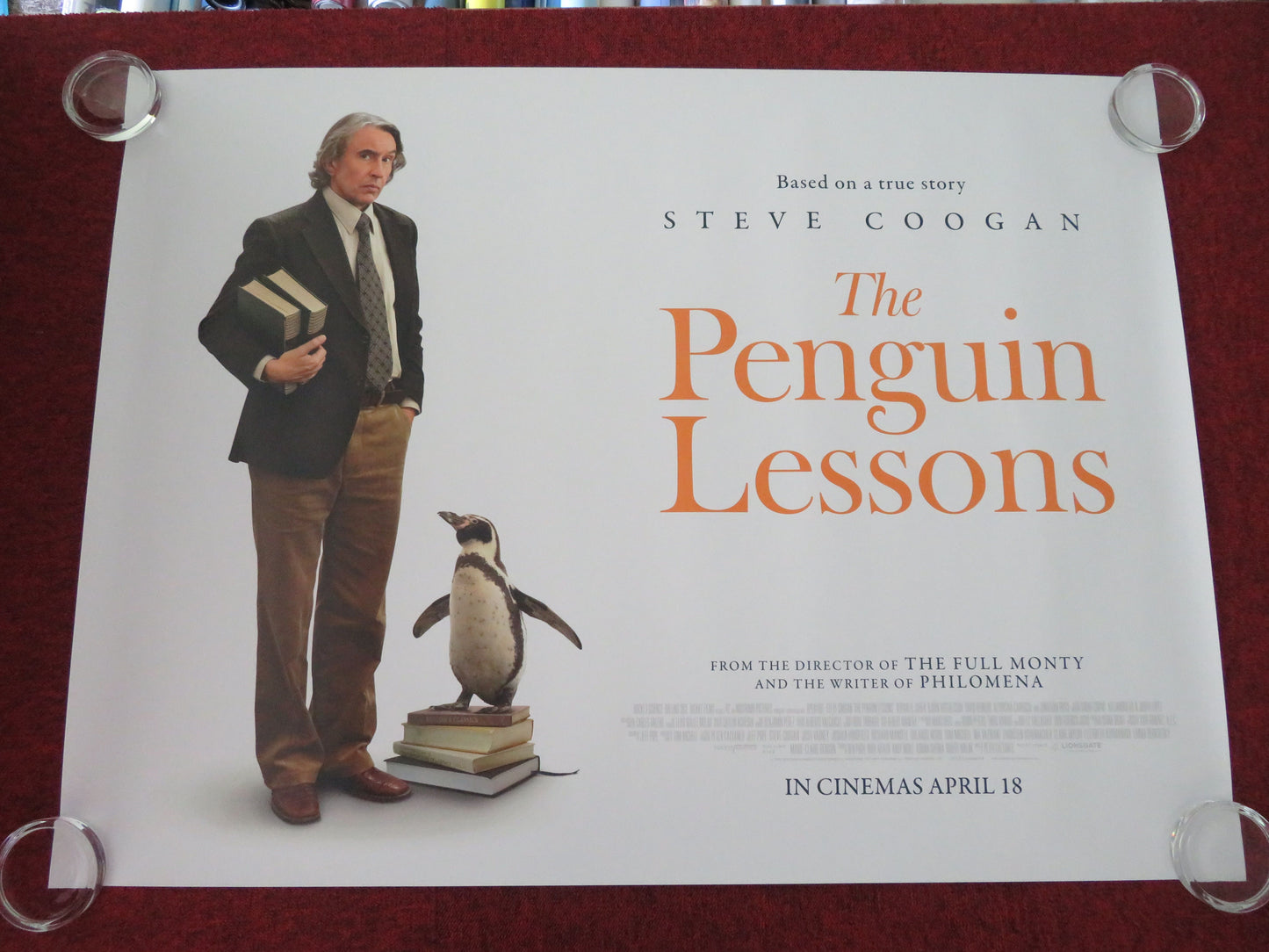 The Penguin Lessons UK Quad Rolled Poster Steve Coogan Jonathan Pryce 2024