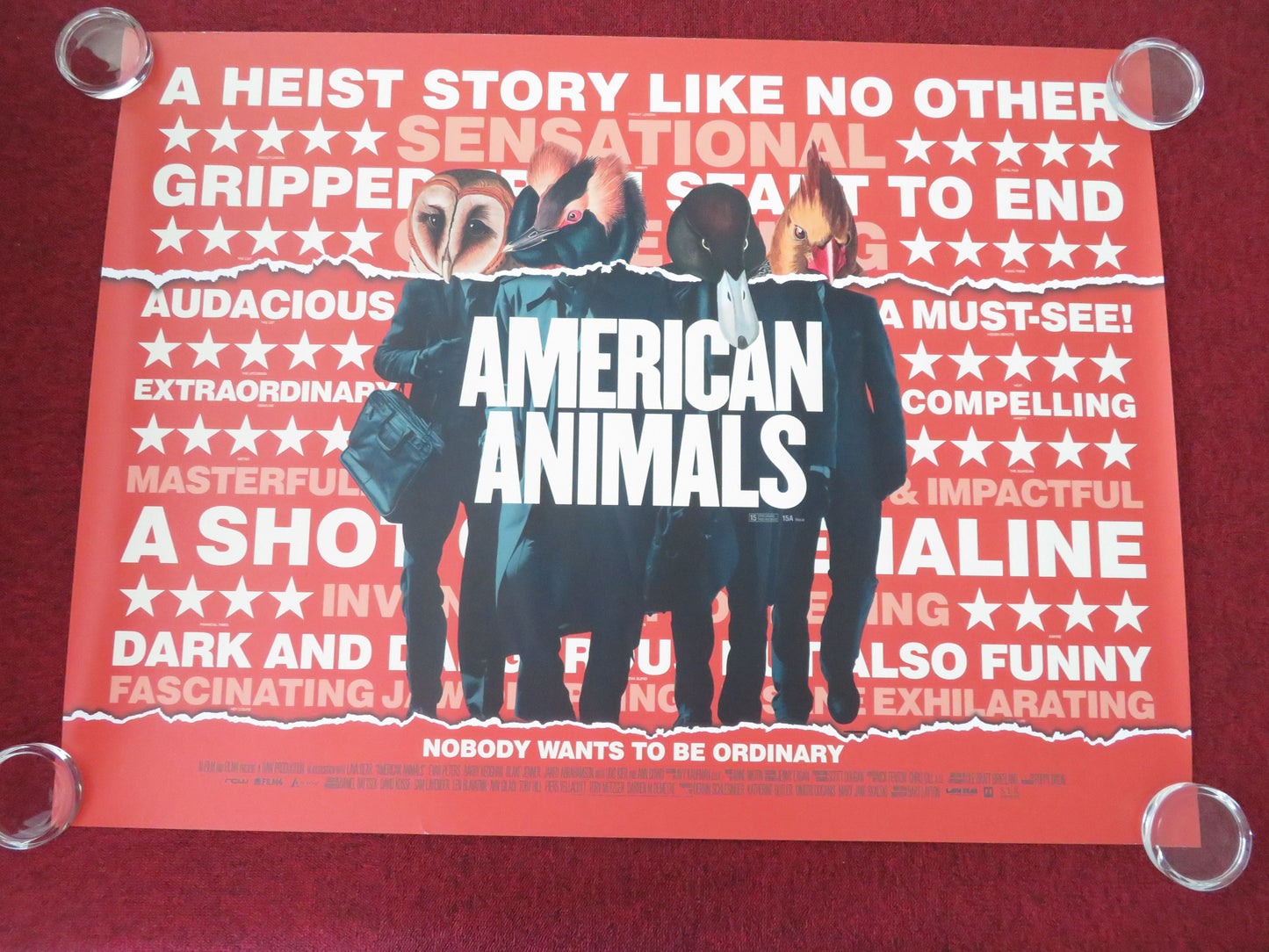 American Animals UK Quad Rolled Poster Barry Keoghan Evan Peters 2018