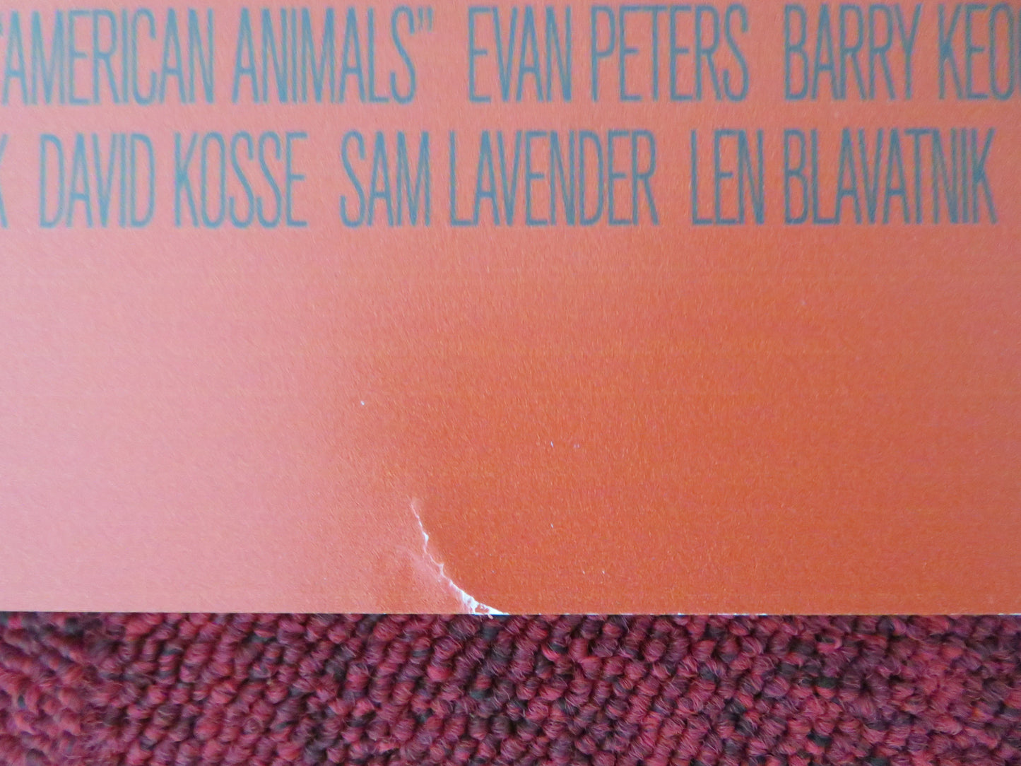 American Animals UK Quad Rolled Poster Barry Keoghan Evan Peters 2018