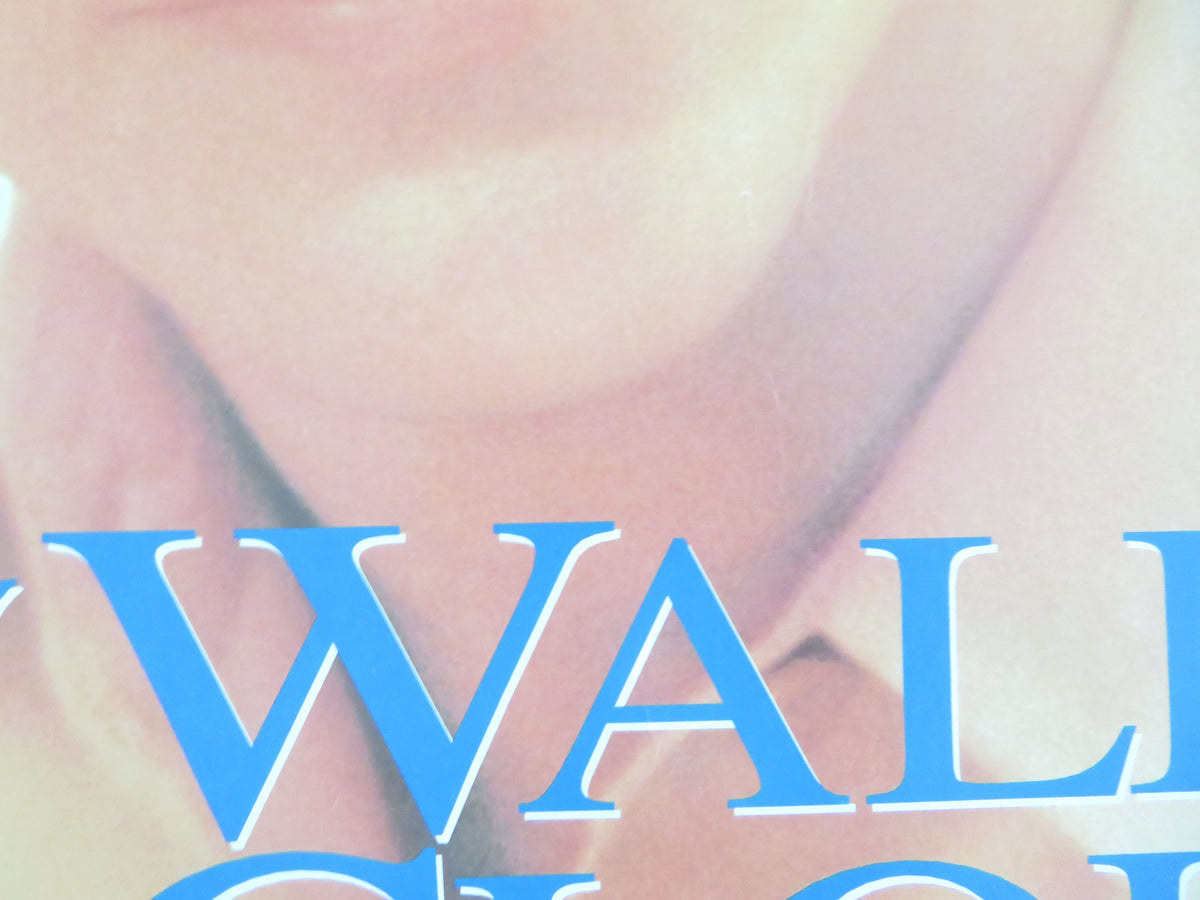A Walk in the Clouds VHS Video Poster Keanu Reeves Aitana Sánchez-Gijón 1995