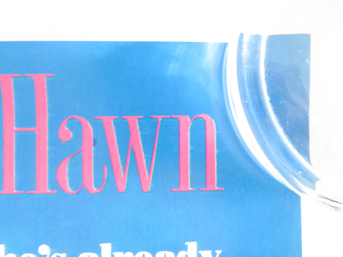 Housesitter VHS Video Poster Steve Martin Goldie Hawn 1992