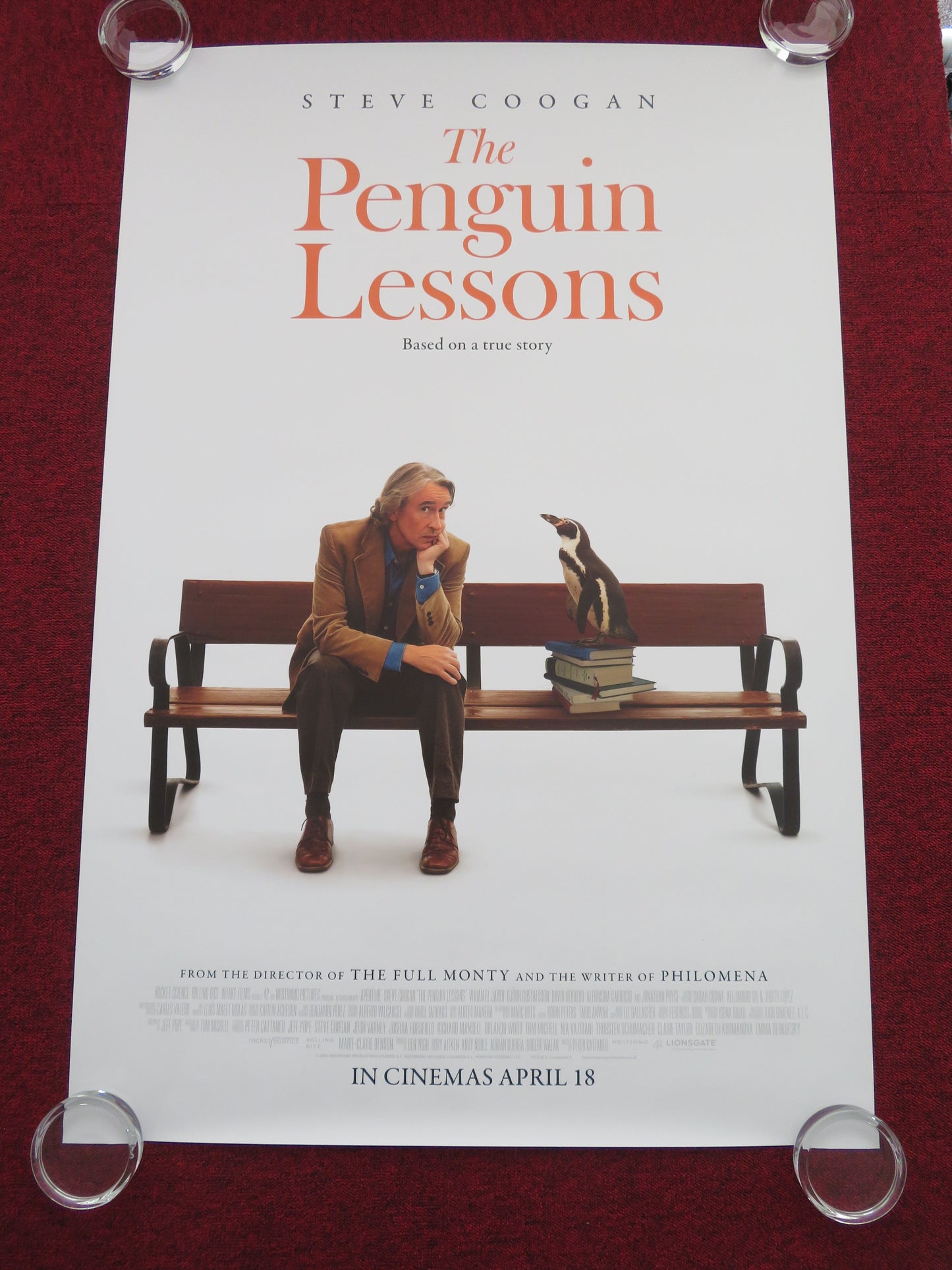 The Penguin Lessons US One Sheet Rolled Poster Steve Coogan Jonathan Pryce 2024