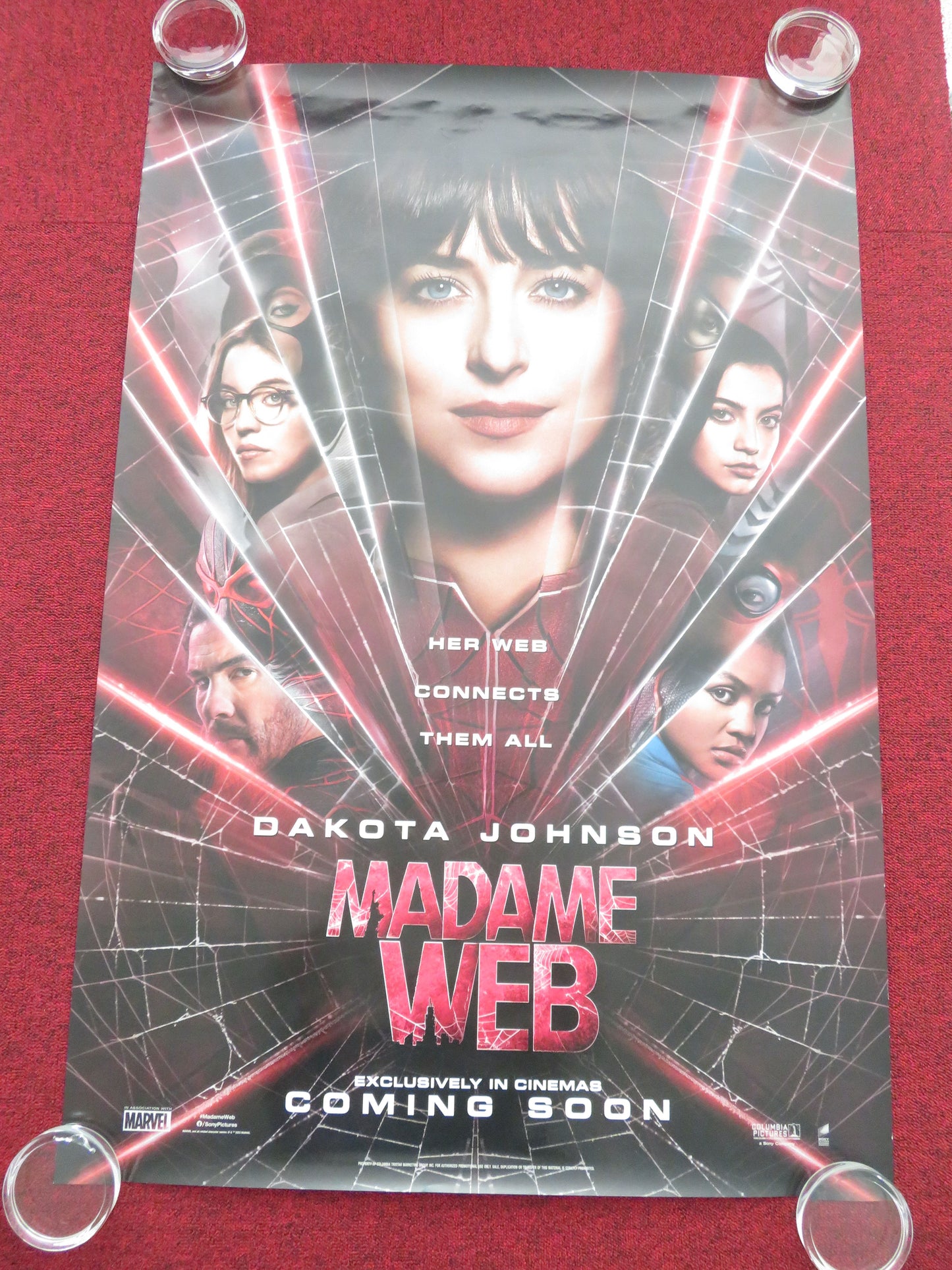 Madame Web US One Sheet Rolled Poster Marvel Dakota Johnson Sydney Sweeney 2024