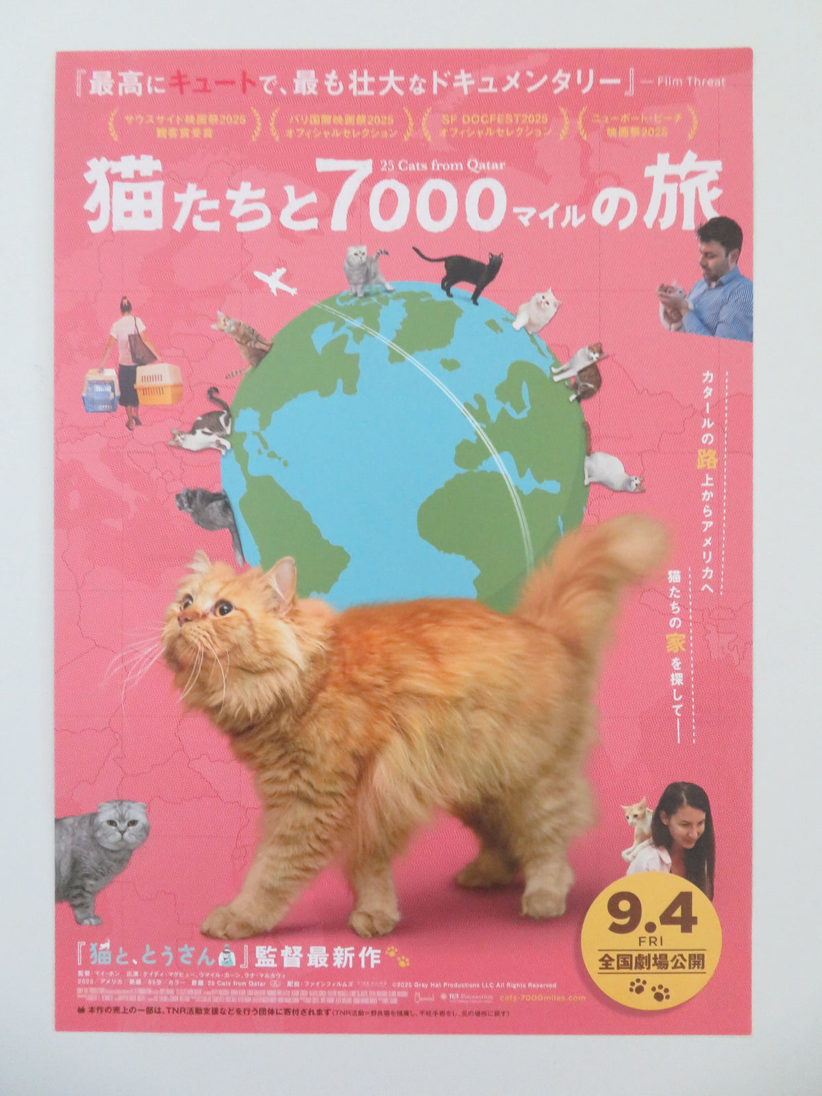 25 Cats from Qatar Japanese Chirashi (B5) Poster Mye Hoang 2025 Movie posters